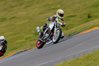 PJ-Motorsport-2019;anglesey-no-limits-trackday;anglesey-photographs;anglesey-trackday-photographs;enduro-digital-images;event-digital-images;eventdigitalimages;no-limits-trackdays;peter-wileman-photography;racing-digital-images;trac-mon;trackday-digital-images;trackday-photos;ty-croes